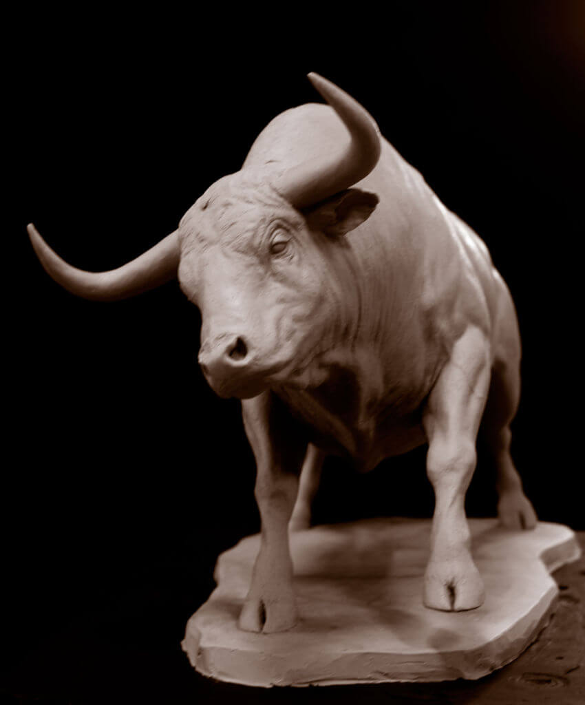 Bull-Front_sep